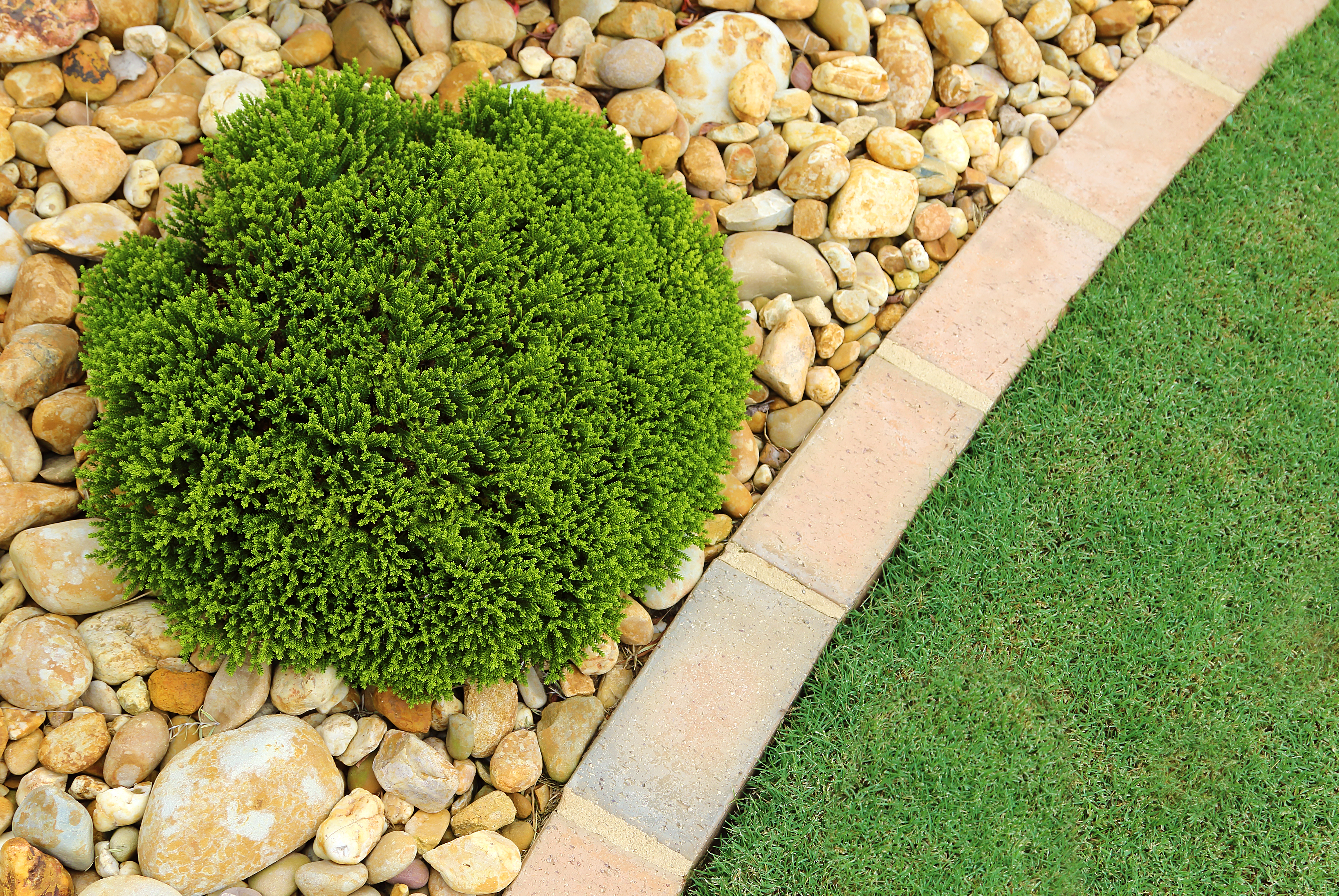 healthy lawn against flower beds with rocks